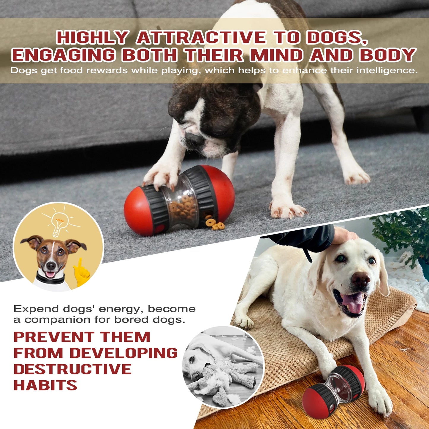 TreatTumble™ IQ Training Feeder Ball