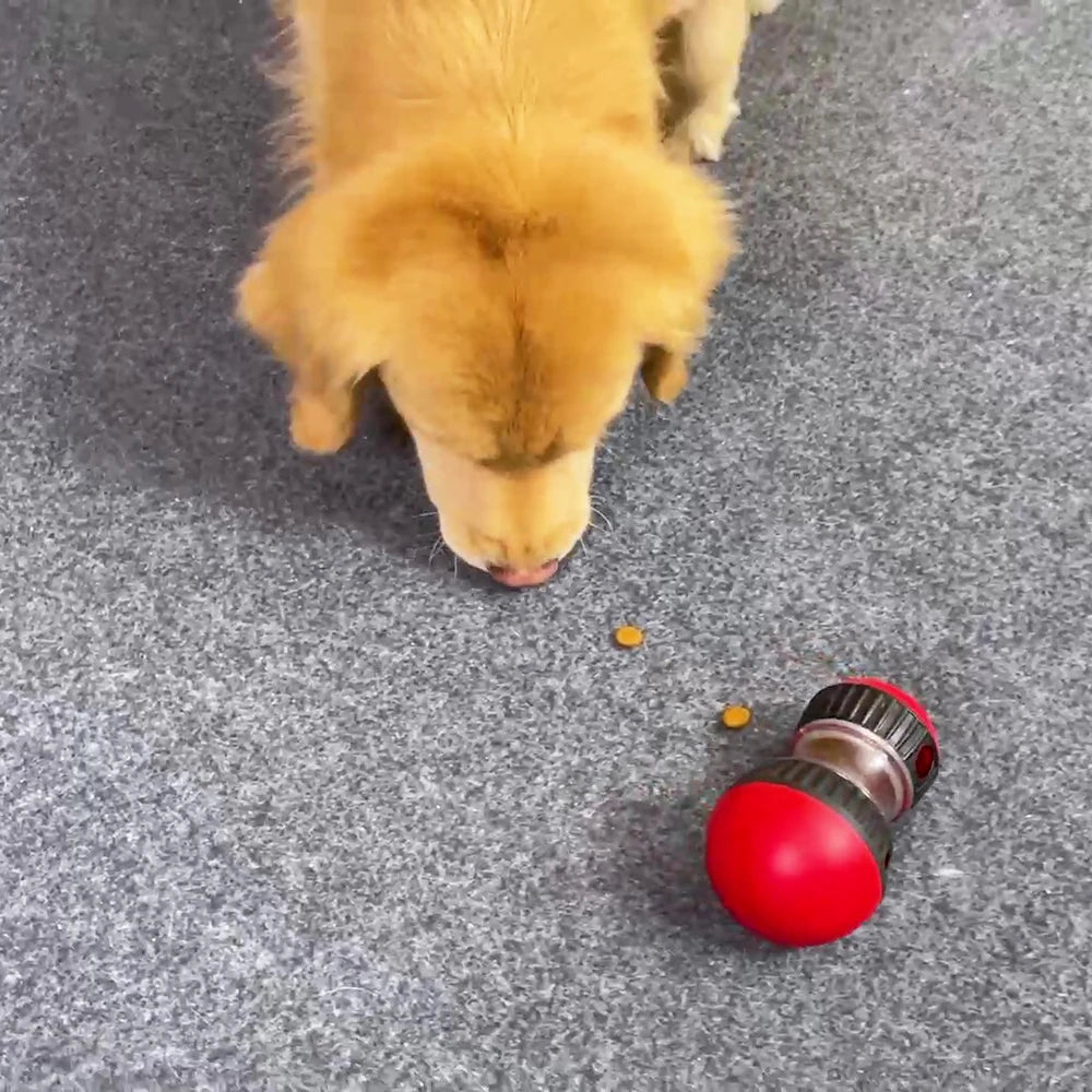 TreatTumble™ IQ Training Feeder Ball