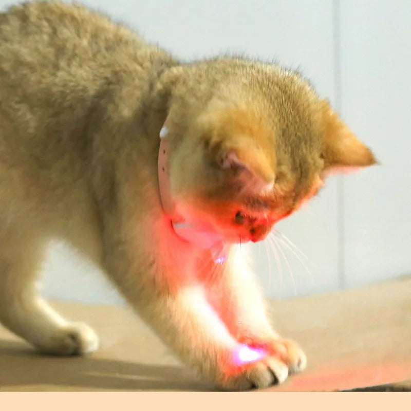 PouncePlay™ Smart Laser Collar – Hands-Free Fun for Cats