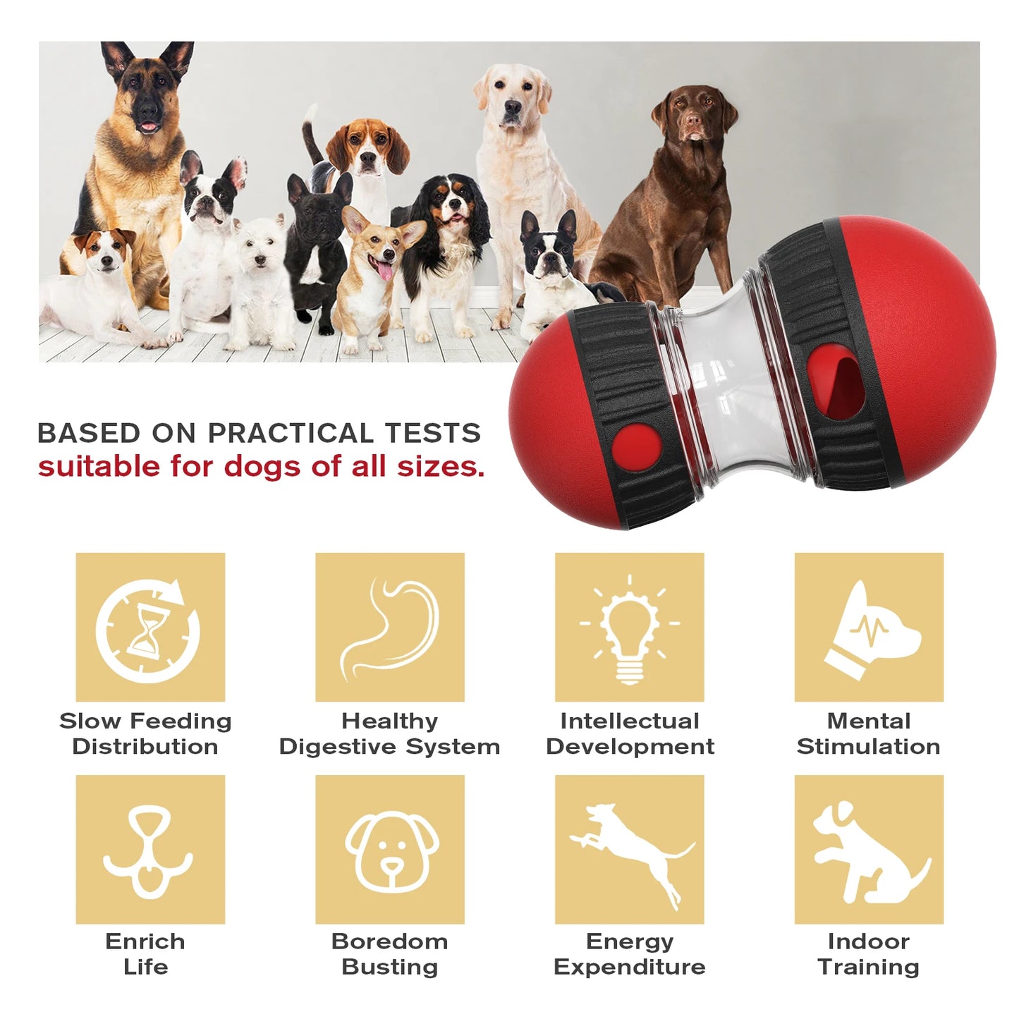 TreatTumble™ IQ Training Feeder Ball