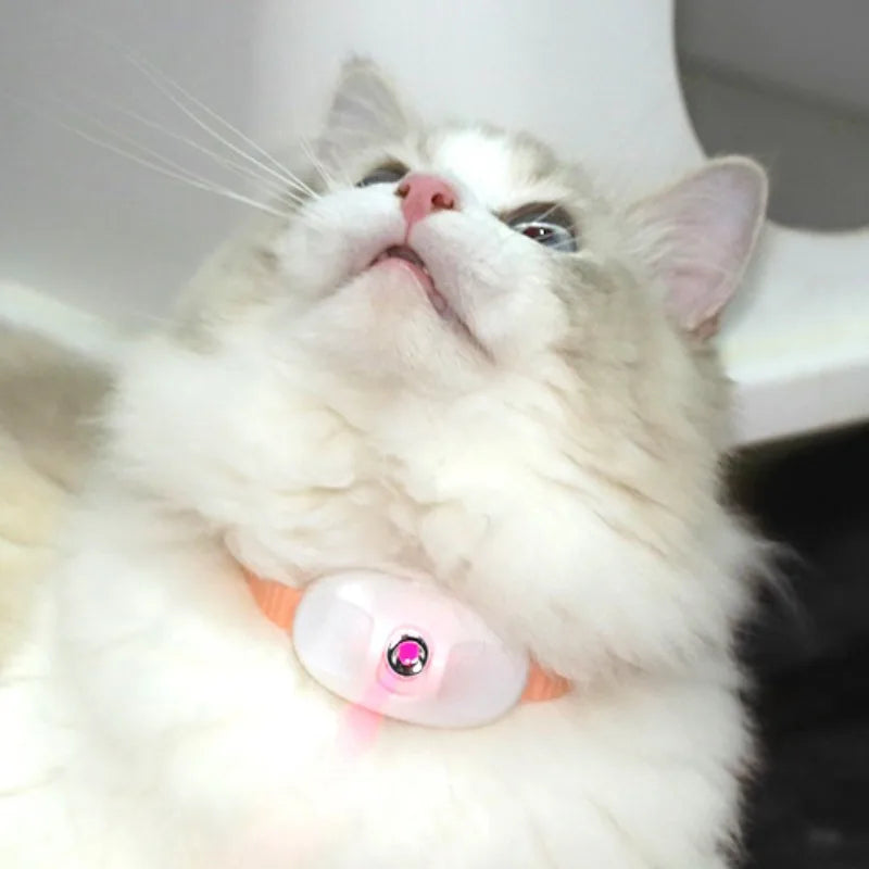 PouncePlay™ Smart Laser Collar – Hands-Free Fun for Cats