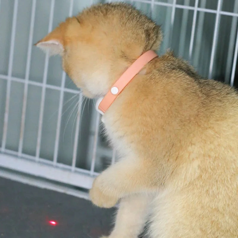 PouncePlay™ Smart Laser Collar – Hands-Free Fun for Cats